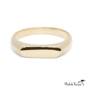 Aisha Skinny Signet Ring Gold