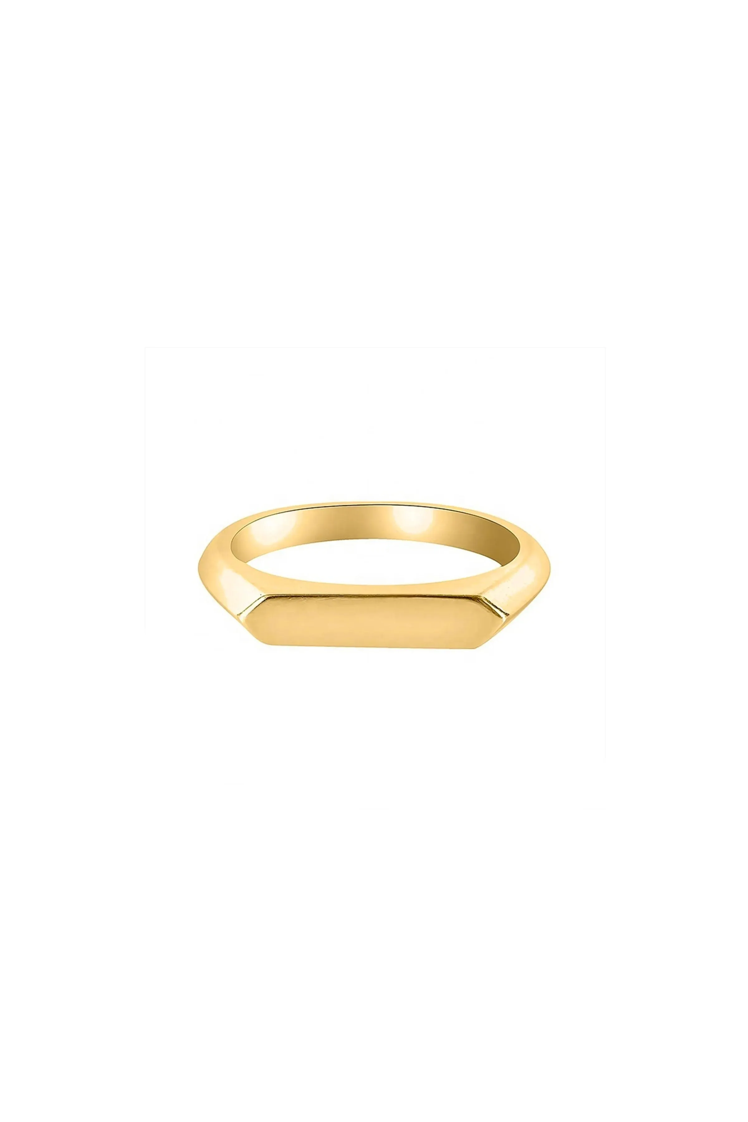 Michelle Slim Signet Ring