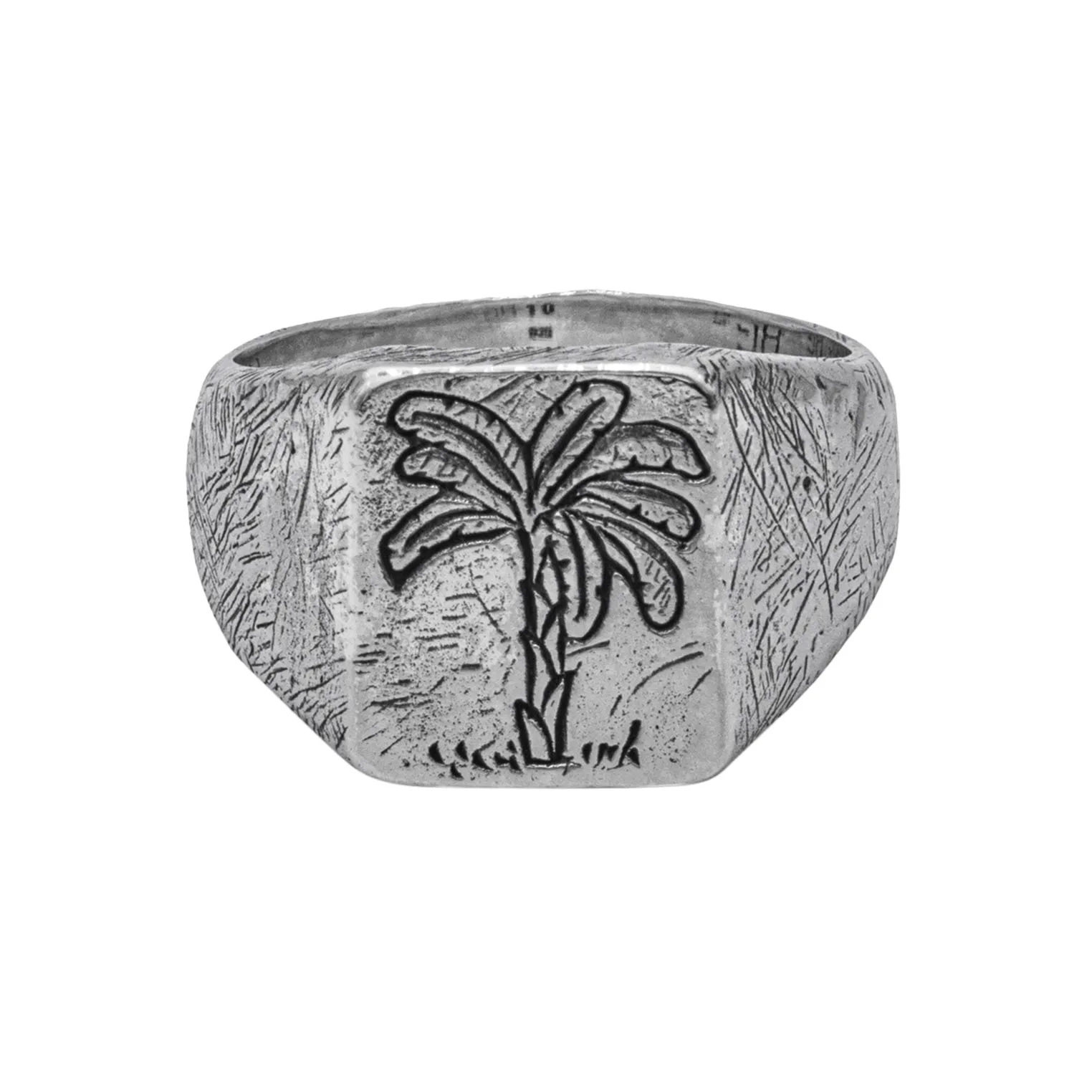 Tropicalization Ring